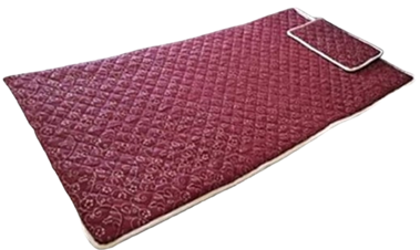 WELLNIFY BIO MAGNETIC MATTRESS + PILLOW COVER 3x6